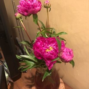 Meet your Posher, Maria